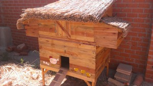 Gallinero con materiales reciclados con los gorros ya puestos